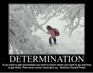 Determination