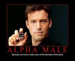 How Become The Alpha Male Subliminal Messages Work